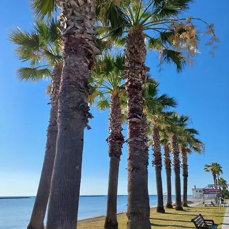 La Conchiglia Daire *