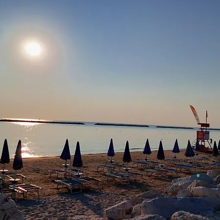 La Conchiglia Daire *