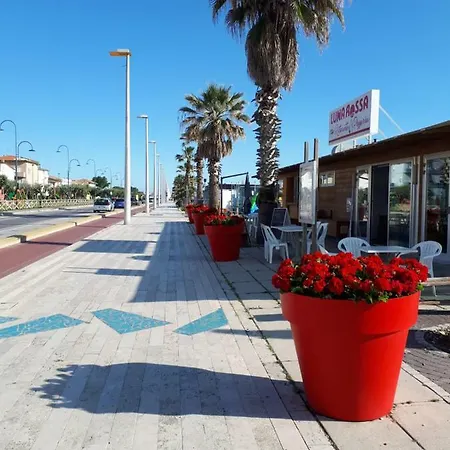 La Conchiglia * Porto SantʼElpidio